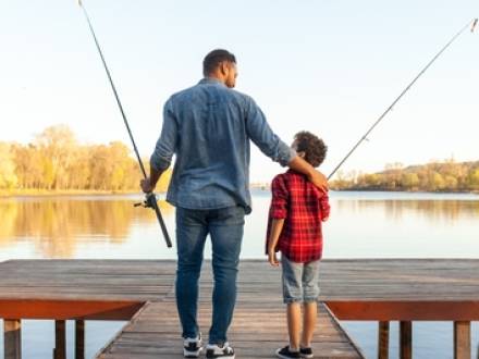 Collin County, TX family law attorney
